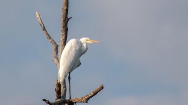 Фото нашего гида Михаила Верёвченко