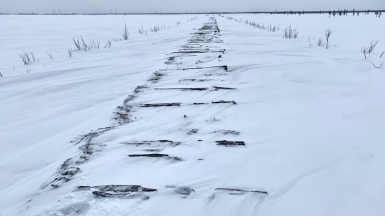 501-я стройка. Фото нашего гида Дмитрия Эскина