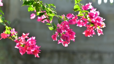 Фото: Joshua Mhando, unsplash.com