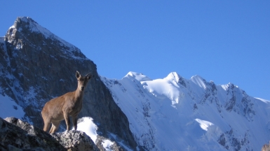 Фото нашего гида Геннадия Скосырева