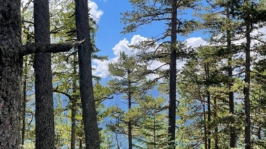 Фото наших Странников