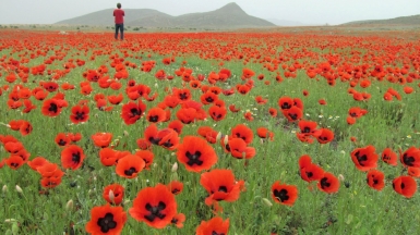 Фото нашего гида Ирины Пряничниковой