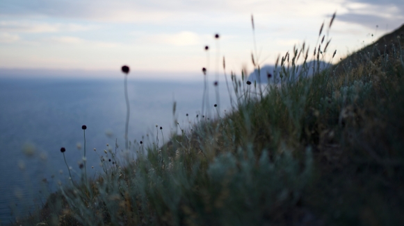 Фото нашей Странницы Аси Моисеевой