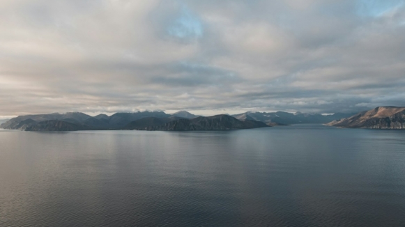 Фото Alexandr Bormotin для unsplash.com