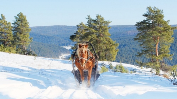 Фото из архива Клуба