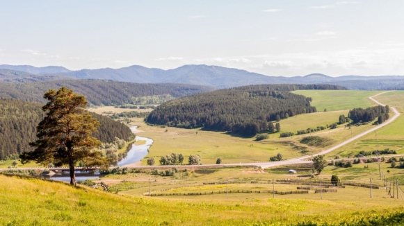 Фото: Алексей Морозов