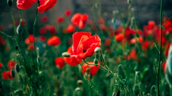 Фото нашей Странницы Дарьи Набатовой