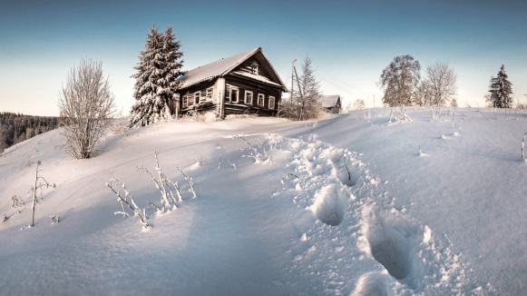 Фото Юрия Овчинникова