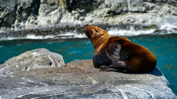 Фото Snapsaga для Unsplash.com