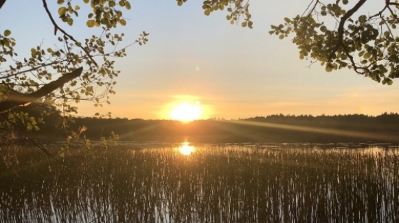 Фото нашего Странника Швыряевой Татьяны