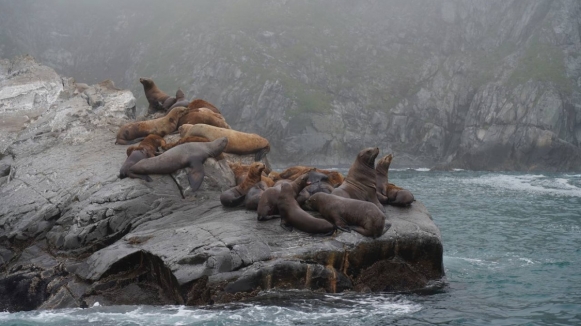 Фото из архива Клуба