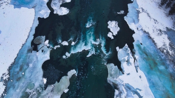 Фото: depositphotos.com