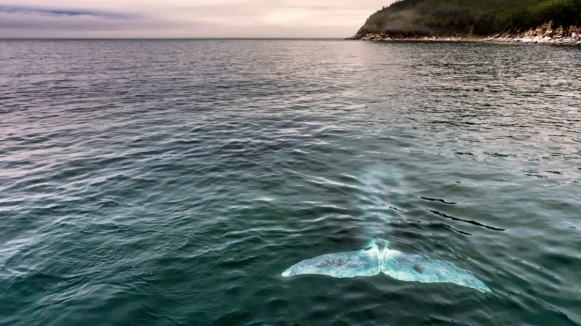 Фото из архива Клуба