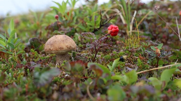 Фото из архива Клуба