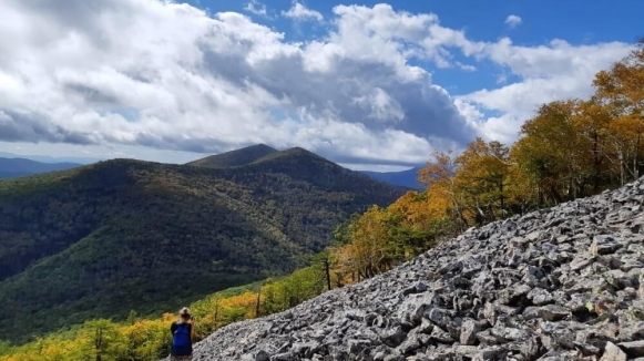 Фото наших партнёров