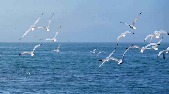 Фото из архива Клуба