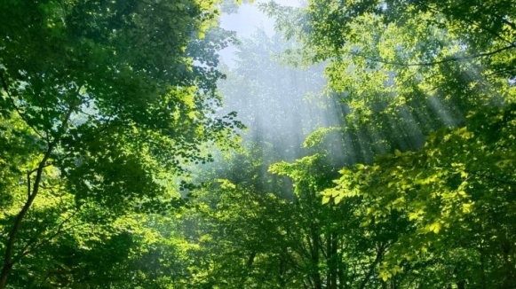 Фото наших Странников