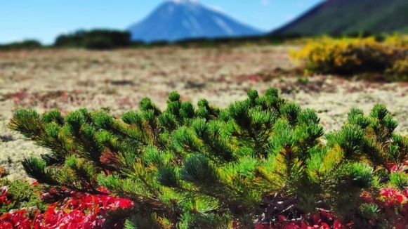 Фото нашего гида Евгении Скопиной