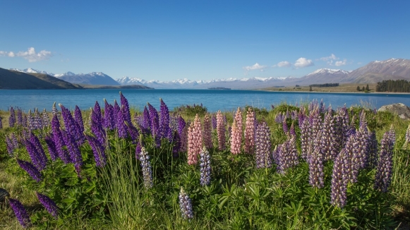 Фото нашей Странницы Татьяны Руновой