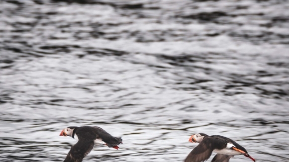 Автор: hari nandakumar, источник: unsplash