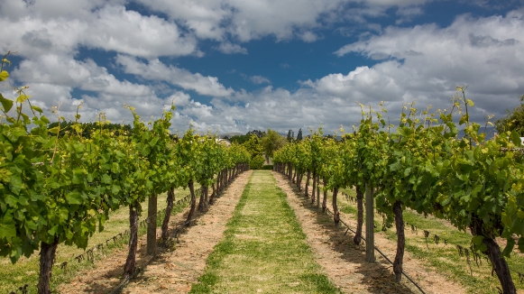 Фото нашей Странницы Татьяны Руновой