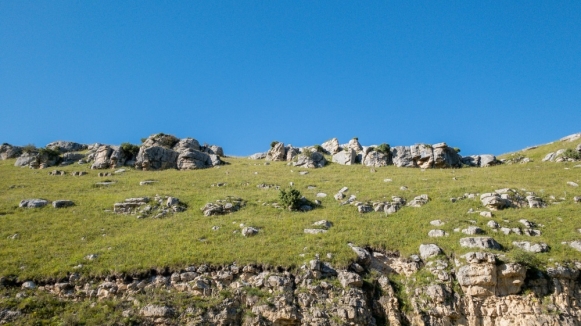 Фото: 
Anton Maksimov 5642.su, unsplash.com