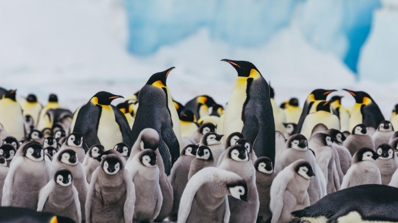 Фото из архива Клуба