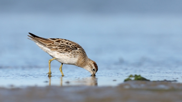 Фото: patrickkavanagh on visualhunt