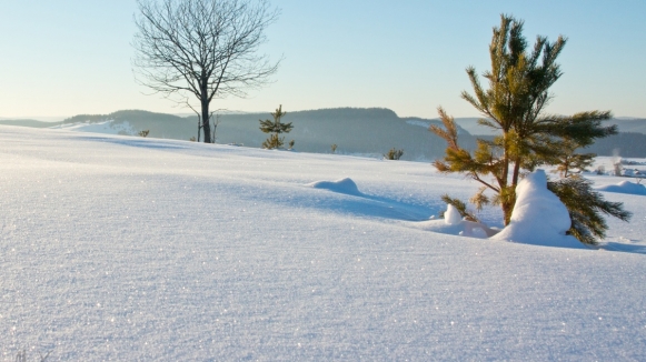 Фото из архива Клуба