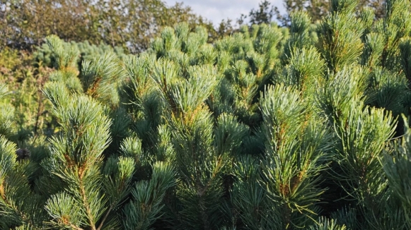 Фото наших туристов