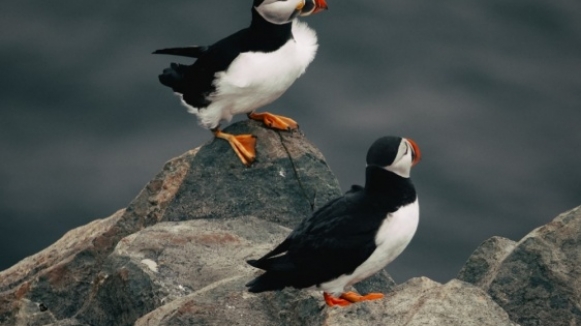 Фото Gurpreet Singh для Unsplash.com