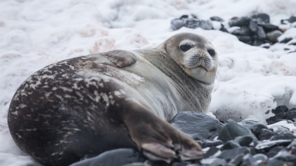 Фото: Yuriy Rzhemovskiy on unsplash