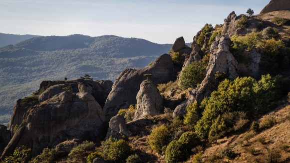 Фото: Евгений Маркин