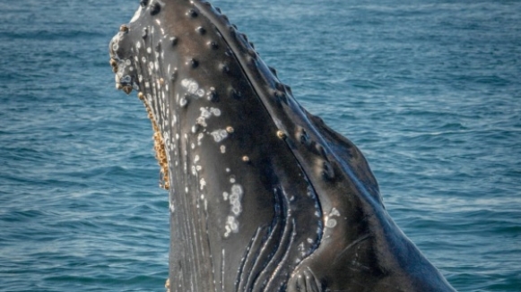 Фото Jorge Vasconez для unsplash.com