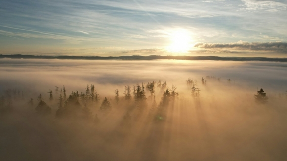 Фото: Mori M on Unsplash