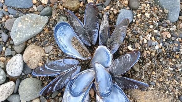 Фото из архива Клуба