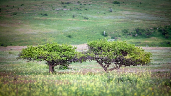 Фото нашего гида Михаила Верёвченко