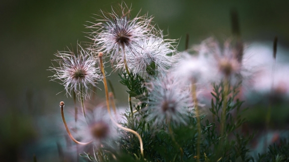 Фото нашей Странницы Светланы Соколовой