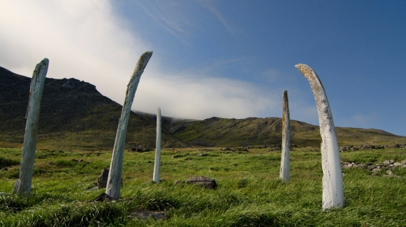 Китовая Аллея. Фото: funtopia.tv, visualhunt.com