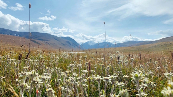 Фото наших Странников