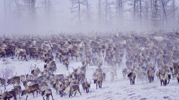 Фото нашего гида Дмитрия Эскина