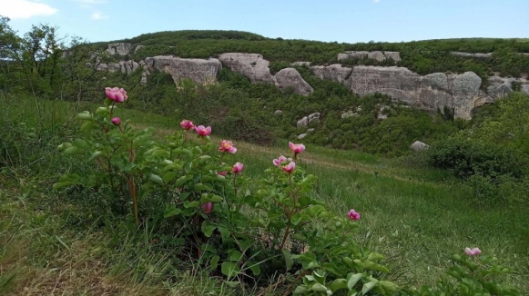 Фото нашего гида Галины Шелудько