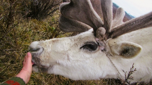 Фото из архива Клуба