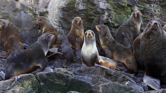 Фото из архива Клуба