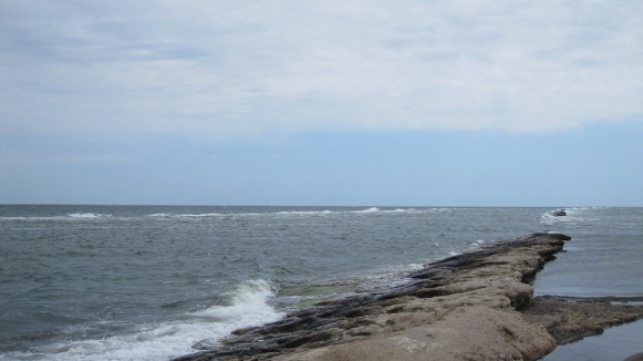 Фото: Grigory Gusev, visualhunt.com