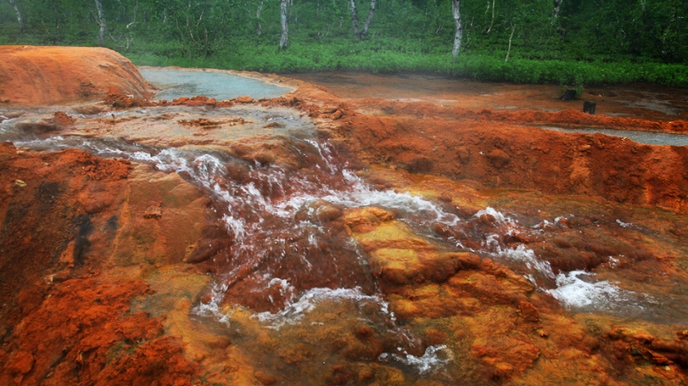 Фото: Степанов Илья