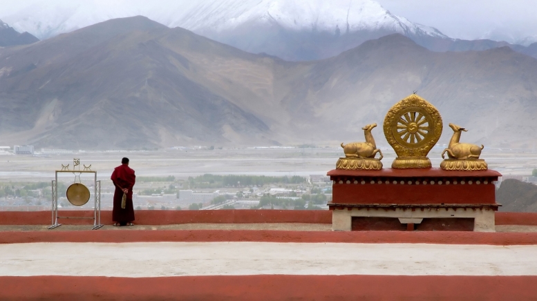 Фото: Hailin Chen on shutterstock