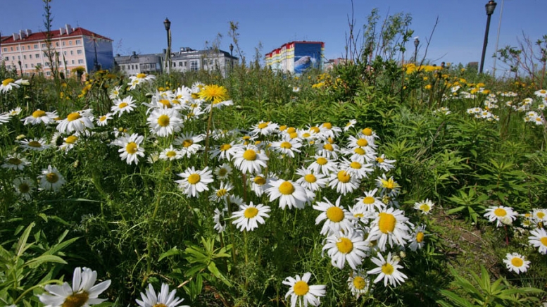 Анадырь. Фото: Магадан, visualhunt.com