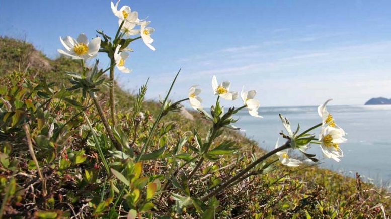 Фото: Магадан, visualhunt.com