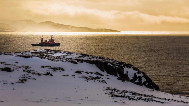 Max Dawncat on Visual Hunt